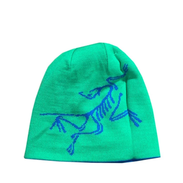 Arc'teryx Reversible Beanie Blue / Green NWOT — RootsBK
